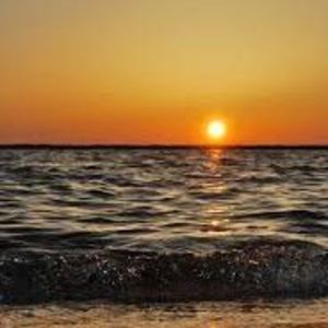 Meet your Posher, Tamara